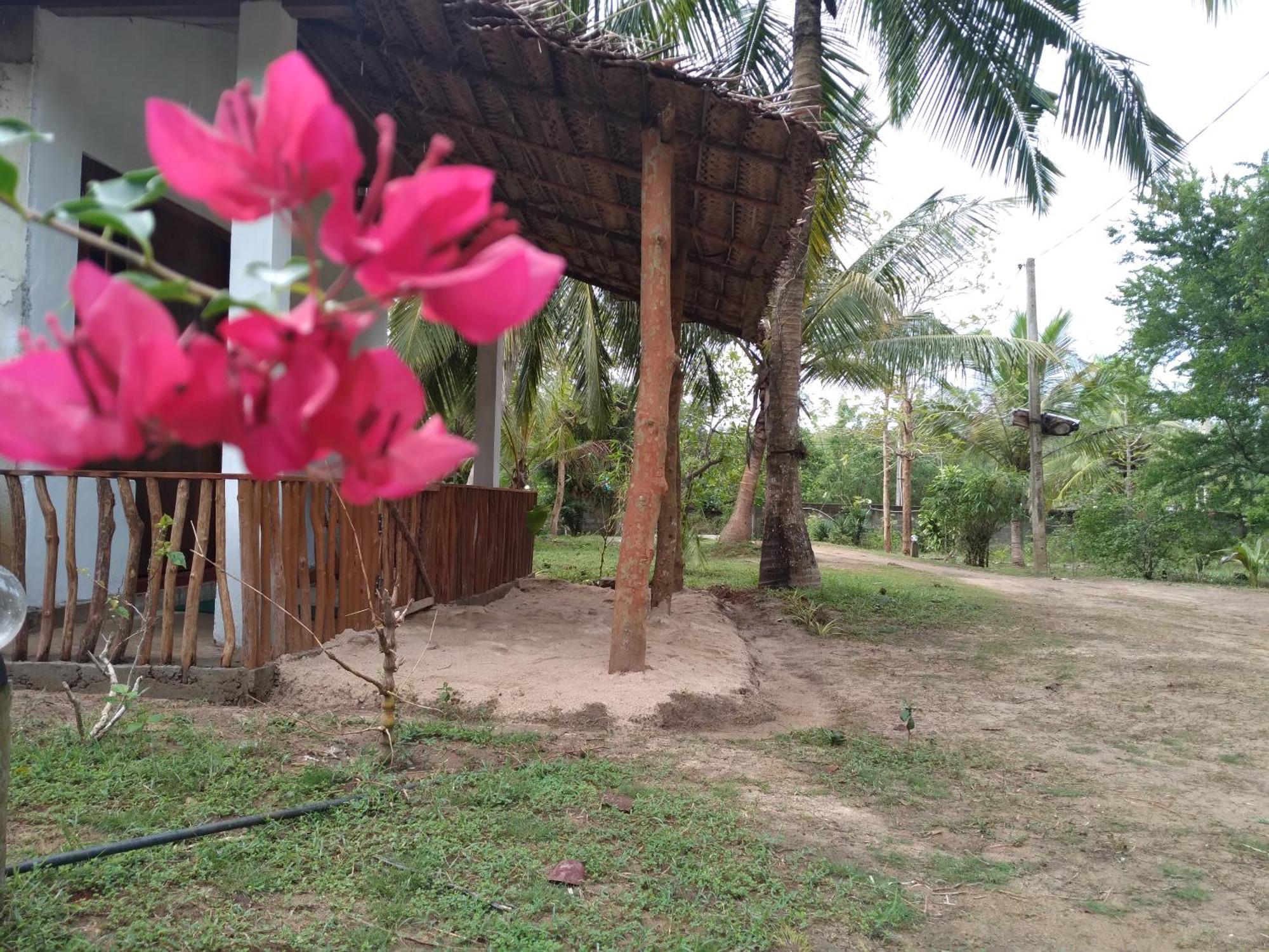 Soma Cabana, Homestay & Restaurant Tangalle Exteriör bild