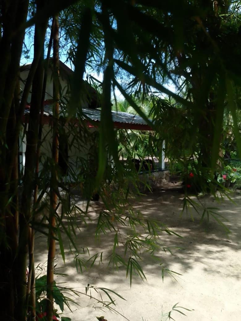 Soma Cabana, Homestay & Restaurant Tangalle Exteriör bild