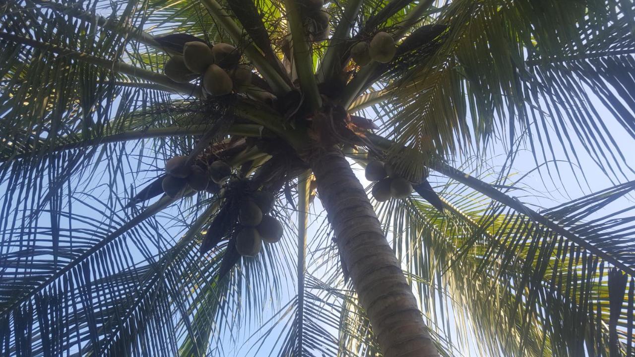 Soma Cabana, Homestay & Restaurant Tangalle Exteriör bild